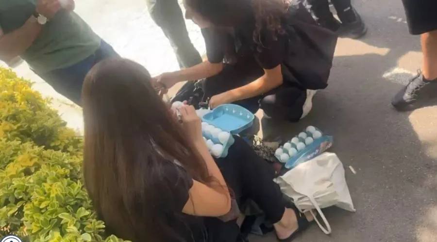 Protestuesit mblidhen te Kuvendit të Shqipërisë  personalizojnë vezët me emrat e deputetëve Derisa seanca plenare e Kuvendit të Shqipërisë ende nuk ka nisur  sikur kishin paralajmëruar ditë më parë nga sheshi  protestuesit janë mbledhur para   