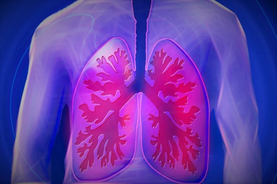Imunoterapia rinovon mushkëritë dhe eliminon qelizat e plakura Një ekip shkencëtarësh i udhëhequr nga studiuesi spanjoll David Lagares në Universitetin e Harvardit ka zbuluar një qasje të re premtuese që mund të ndihmojë në rinovimin e mushkërive   
